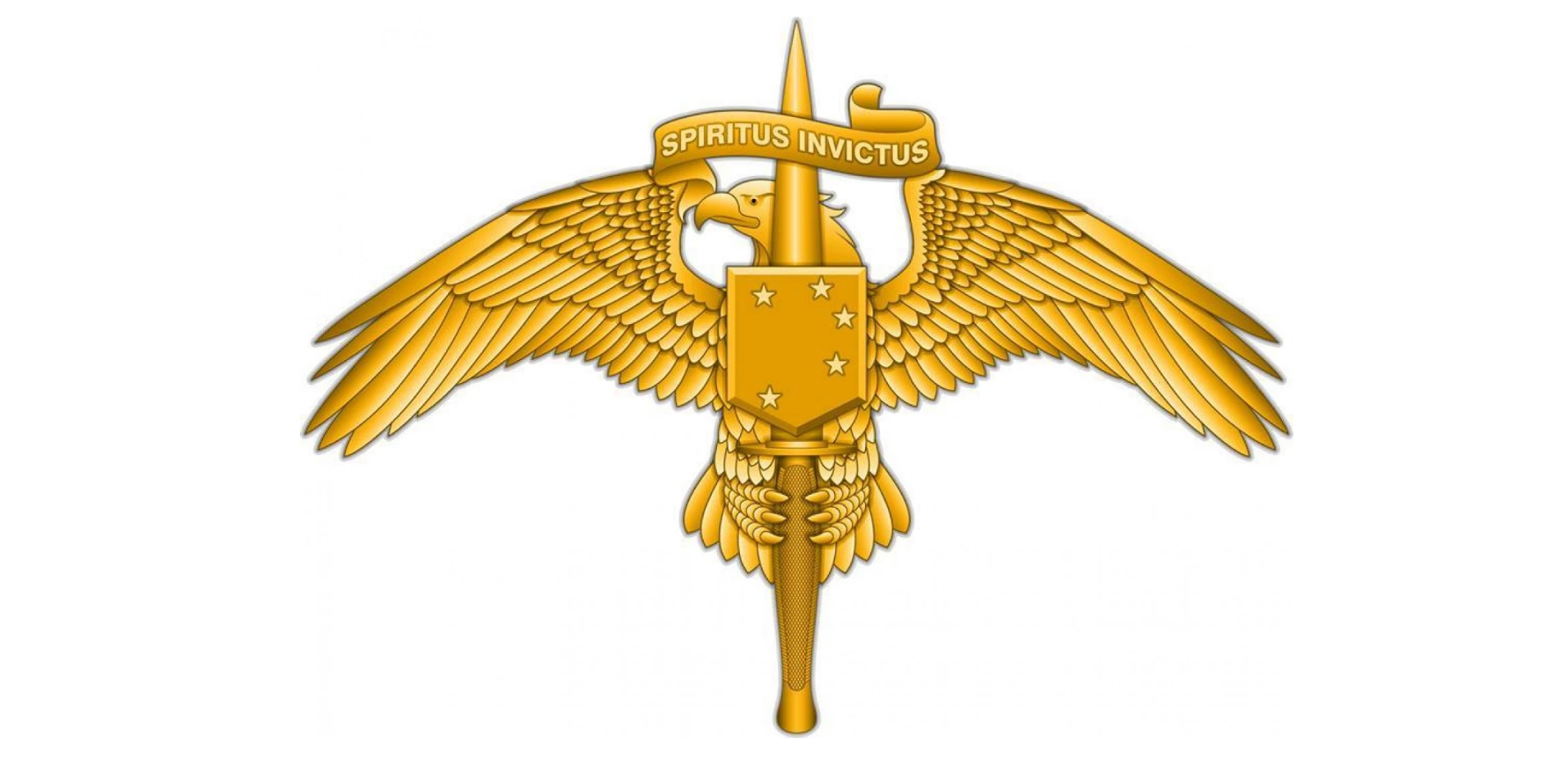 Marine Corps Gets Its Own Raider Insignia Featured