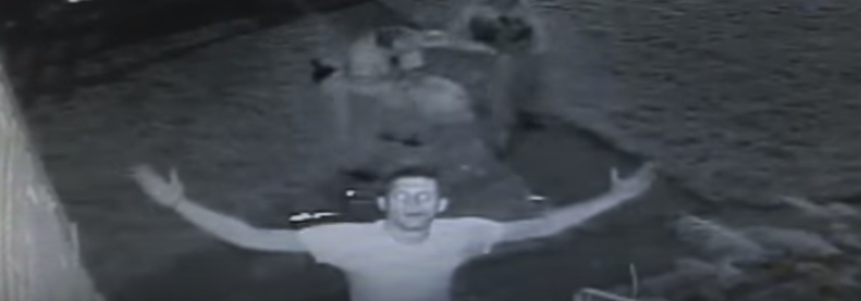 U.S. Army Paratrooper Veteran Destroys A Robber On Veteran’s Day Featured