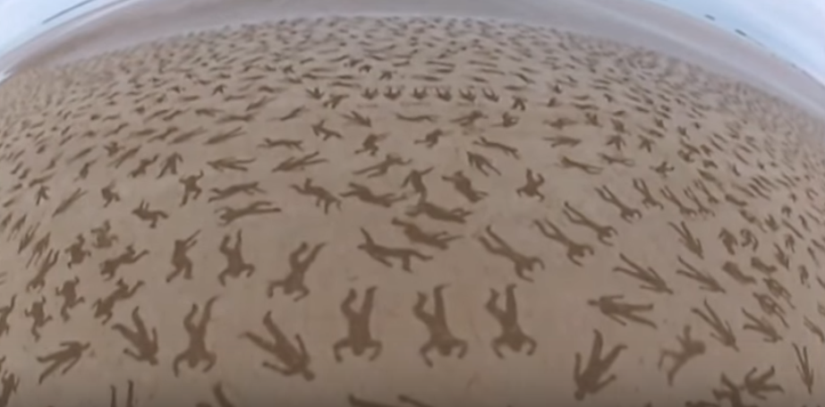 (VIDEO) Incredible: Someone Stenciled The 9,000 People Who Died On D-Day In The Sands Of Normandy Featured