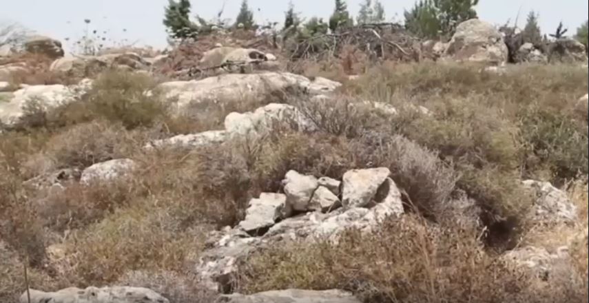 Israel Defense Force Shows Off Their Camouflage Skills In This Incredible Field Exercise Featured