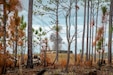 U.S. Marines with India Company, 3rd Battalion, 6th Marine Regiment, 2d Marine Division, brace for an explosion on range Golf-36, Camp Lejeune, N.C., Dec. 12, 2020. Range G-36 is the newest addition to the Camp Lejeune training environment. This range is designed to accommodate company-size assaults and evolutions. (U.S. Marine Corps photo by Lance Cpl. Jacqueline Parsons)