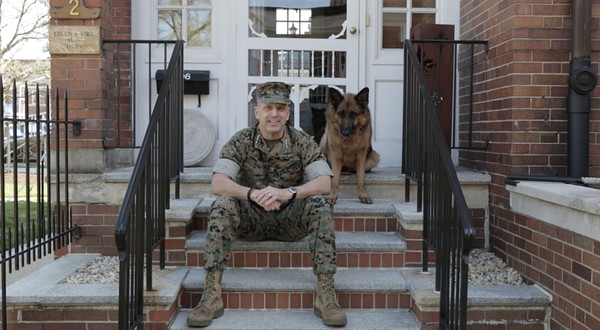 Pet movement information - American Military News