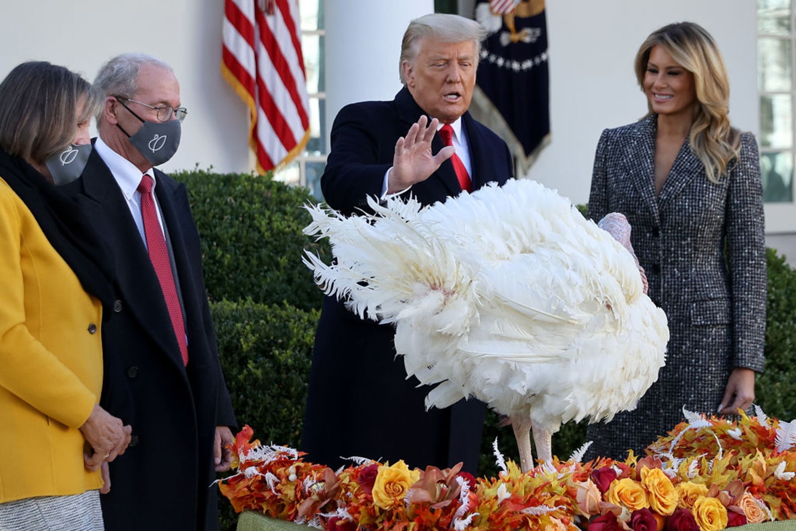 'That Is A Lucky Bird': Trump Pardons Corn, The Thanksgiving Turkey ...