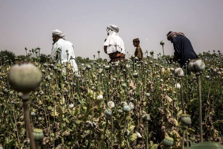 World Food Program Warns Of ‘Unprecedented’ Hunger Crisis In Afghanistan