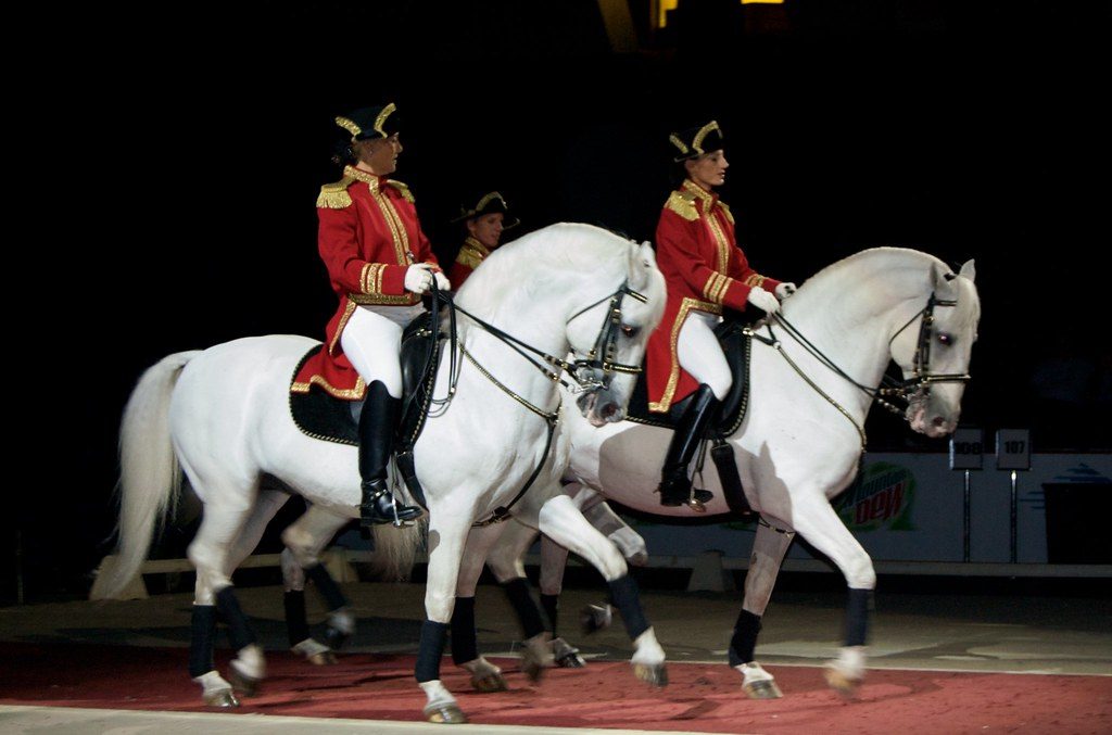 US cavalry unit commemorates Gen. Patton’s order to save hundreds of Lipizzaner stallions from