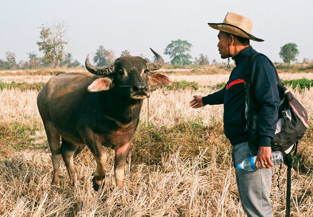 Myanmar military destroys more than 100 homes in Mandalay on encroachment claims