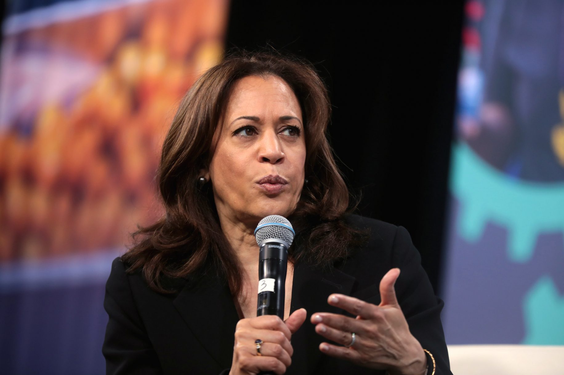 VIDEO: Kamala Harris will ban 'assault weapon' imports if President ...