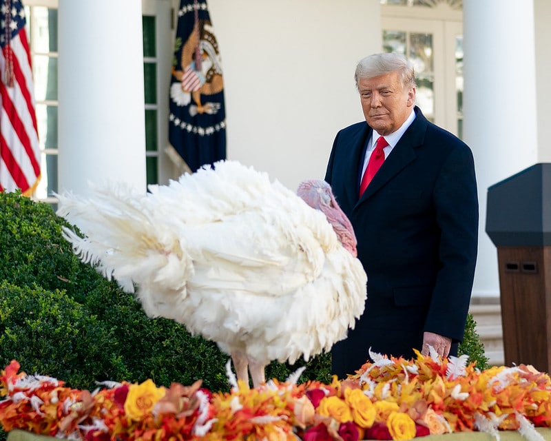 President Donald Trump releases Thanksgiving Day proclamation