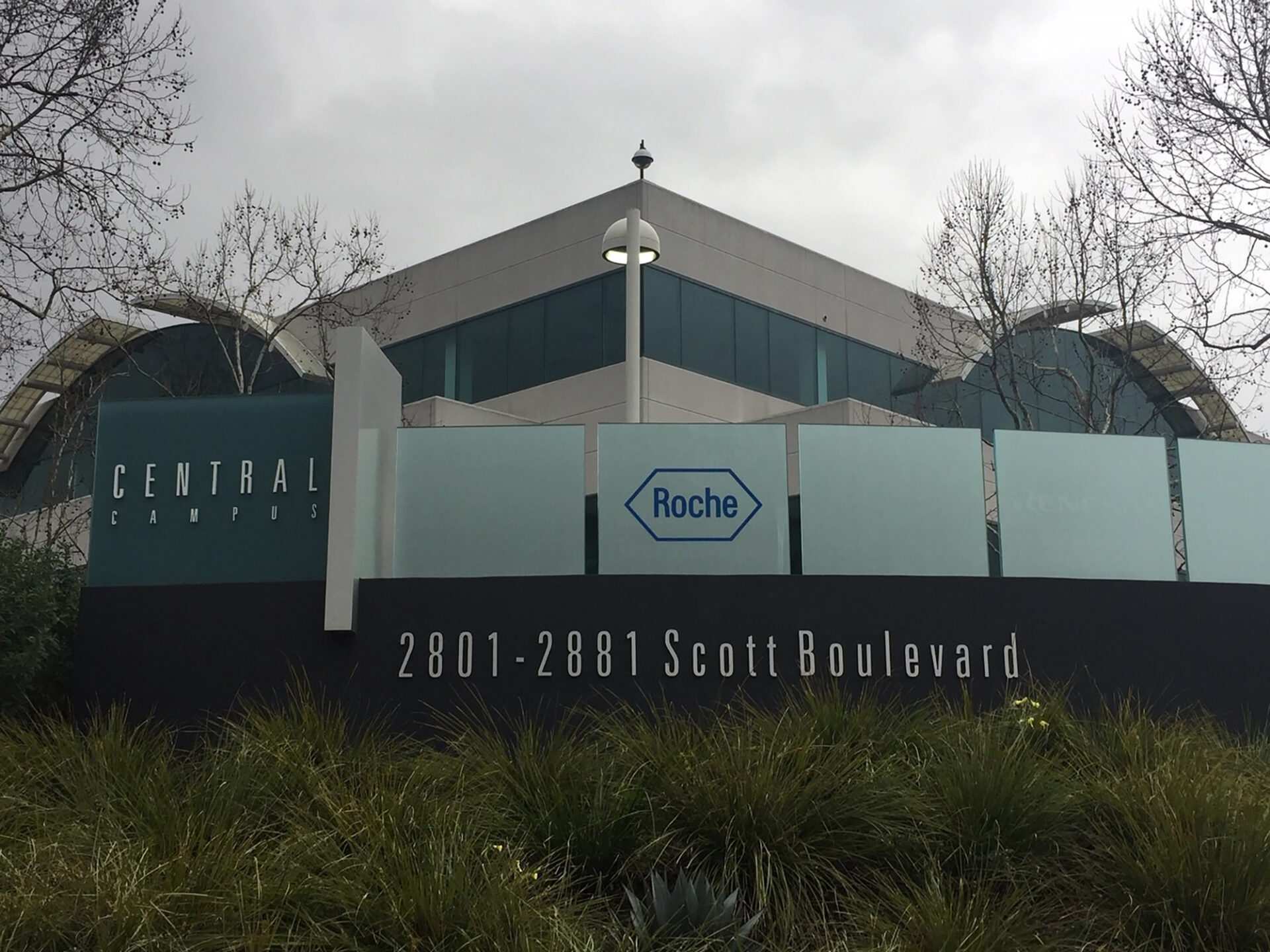 Biotech companies shed hundreds of Bay Area jobs in fresh layoffs ...