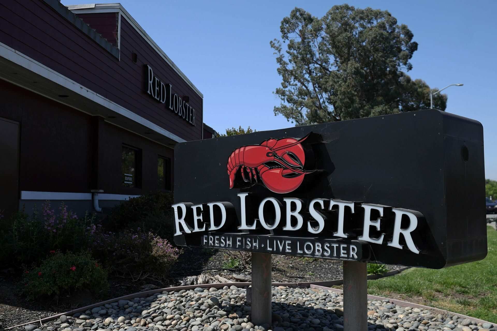 Red Lobster offered customers all-you-can-eat shrimp. That was a mistake
