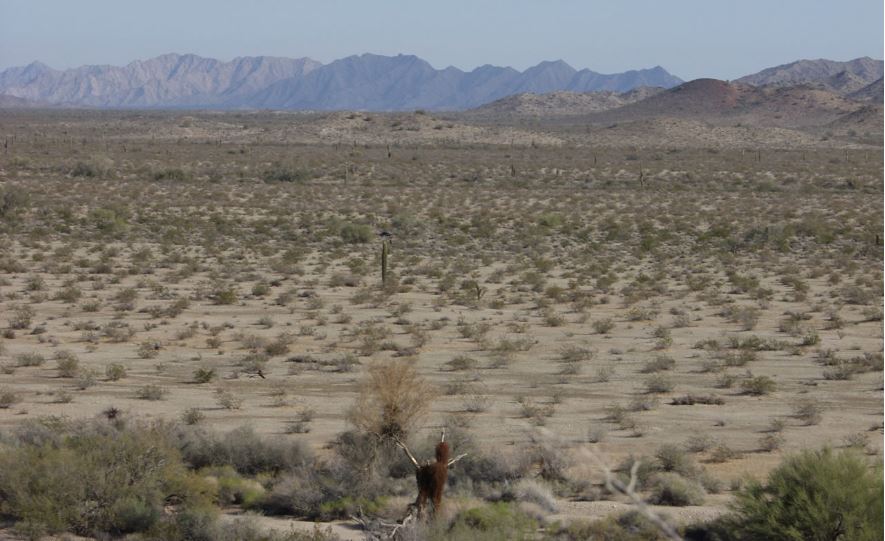 ISIS Plans To Use Lax U.S. – Mexico Border Security To Carry Out Massive Attack Featured