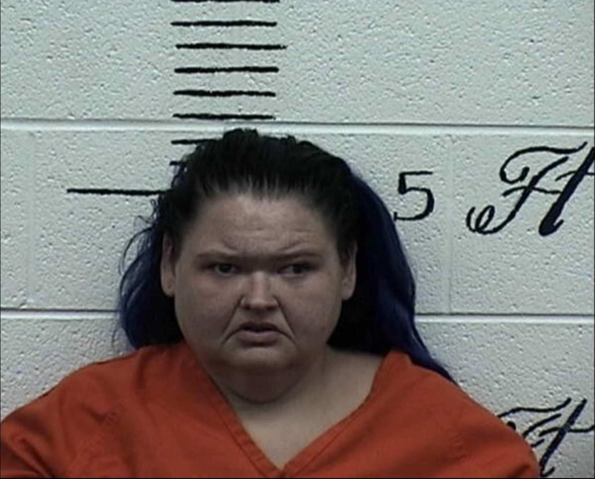 '1000-Lb. Sisters' star Amy Slaton pleads guilty to drug charges after arrest at zoo