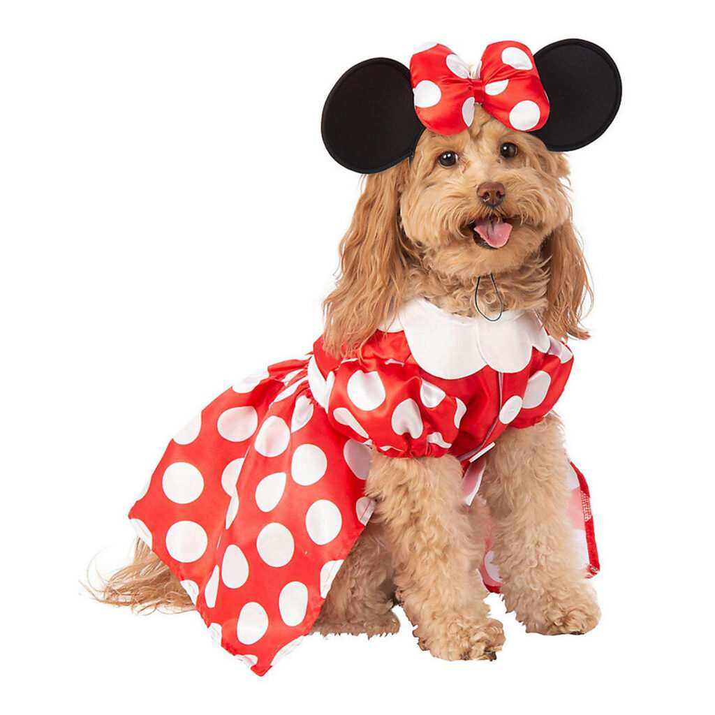 5 fabulous Halloween costumes for your dog