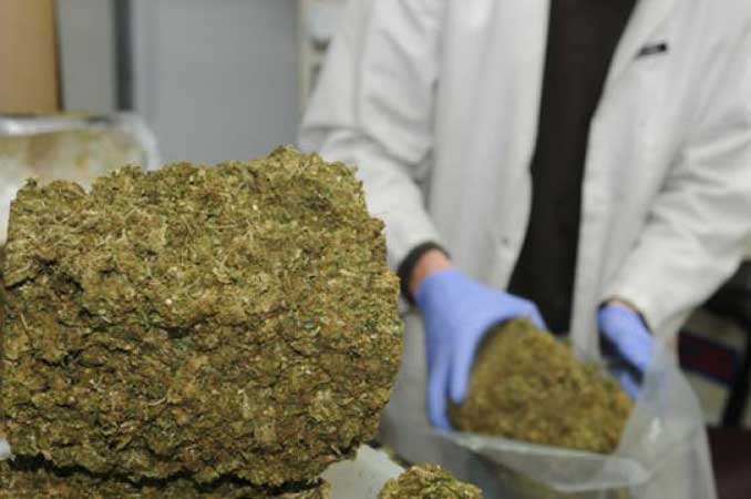 Government Approves Marijuana Study For Veterans Featured