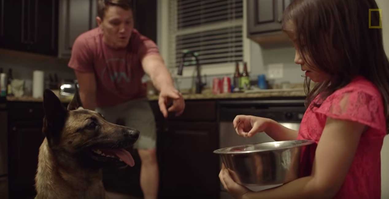 (WATCH) Soldier Adopts Dog That Saved His Life Featured