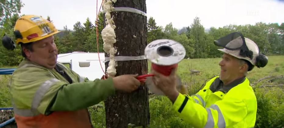 (WATCH) The Best Way To Chop Wood This Winter? Explosives! Featured