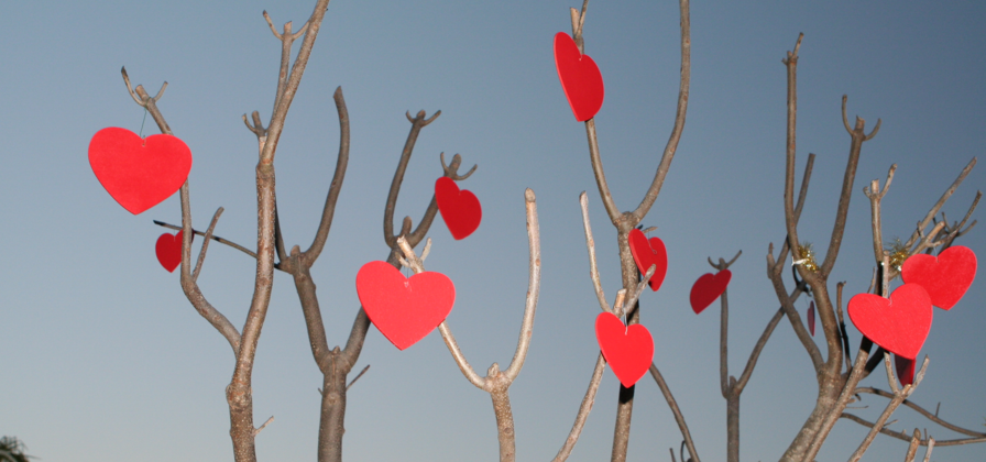 A Loveless Place: Celebrating Valentine’s Day In Iran Sunday Would Have Got You Thrown In Jail Featured