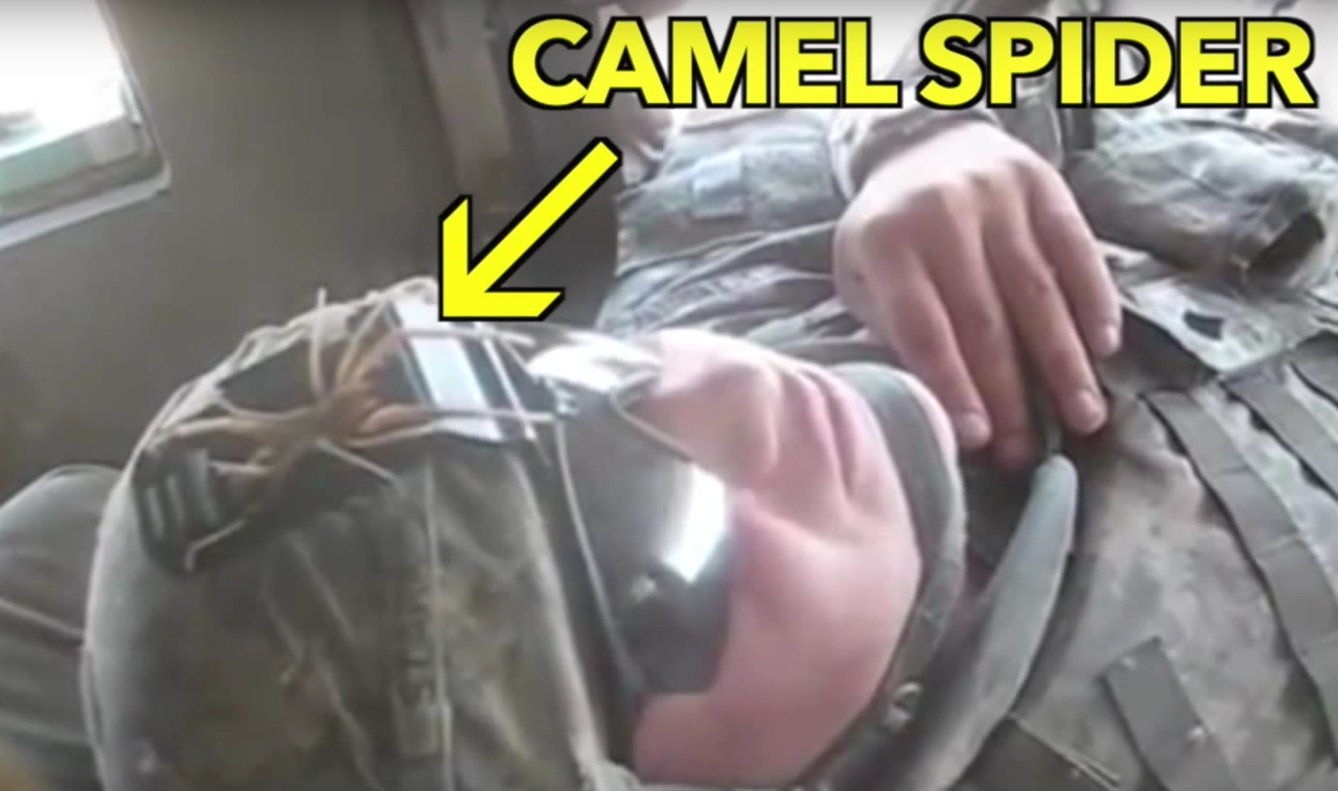 This Video Shows Us Why You Should NEVER Fall Asleep In The Military Featured