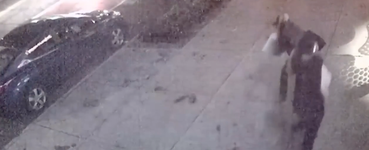 BREAKING: New Video Of The First NYC IED Explosion Featured
