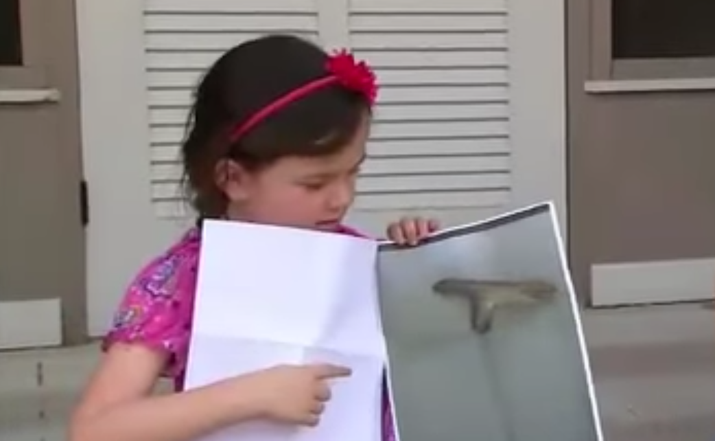 5-Year-Old Suspended For Making “Shooting Motion” With Gun-Shaped Stick Featured