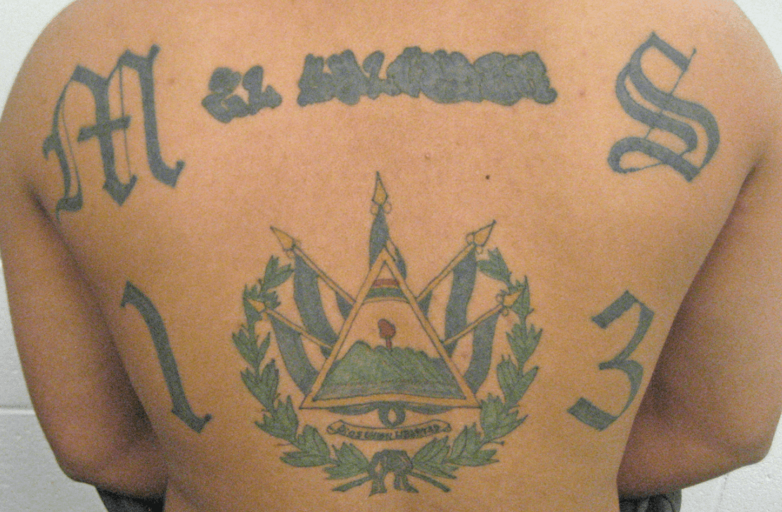 MS-13 head honchos are telling members to specifically target New York, according to Long Island DA Featured