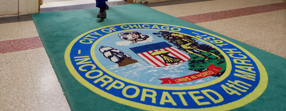Official: take ‘Chicago safari’ to see ‘animals in their natural habitat’ in crime-ridden areas Featured