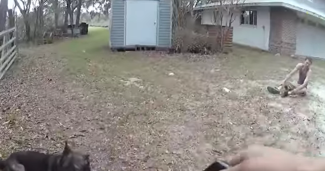 Body Cam Video Footage Shows Deputy And K9 Take Down 2 Suspects In Fl American Military News