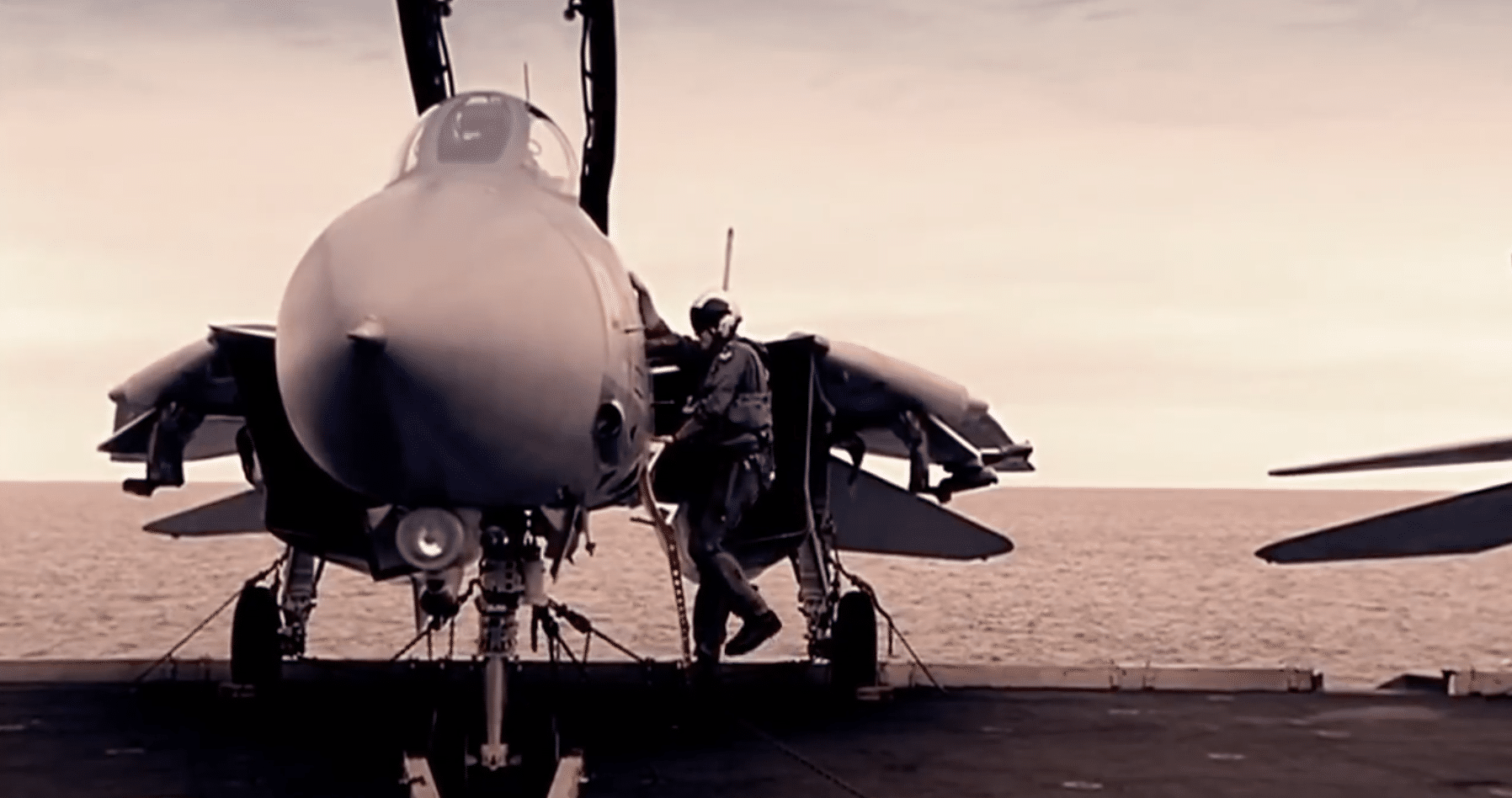 Video: The 'Top Gun' Grumman F-14 Tomcat like you've never seen before