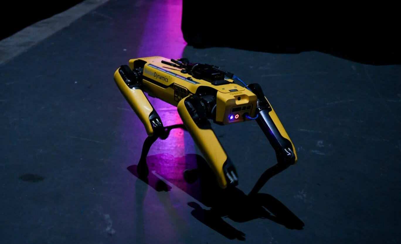 VIDEO Just the start? Boston Dynamics robodog weaponized with remote