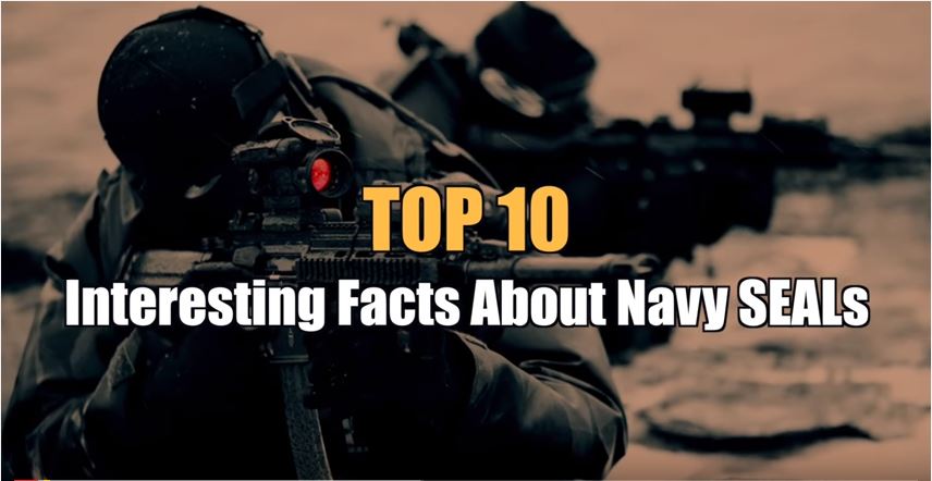 Top 10 Incredible Facts About The Navy SEALs | American Military News