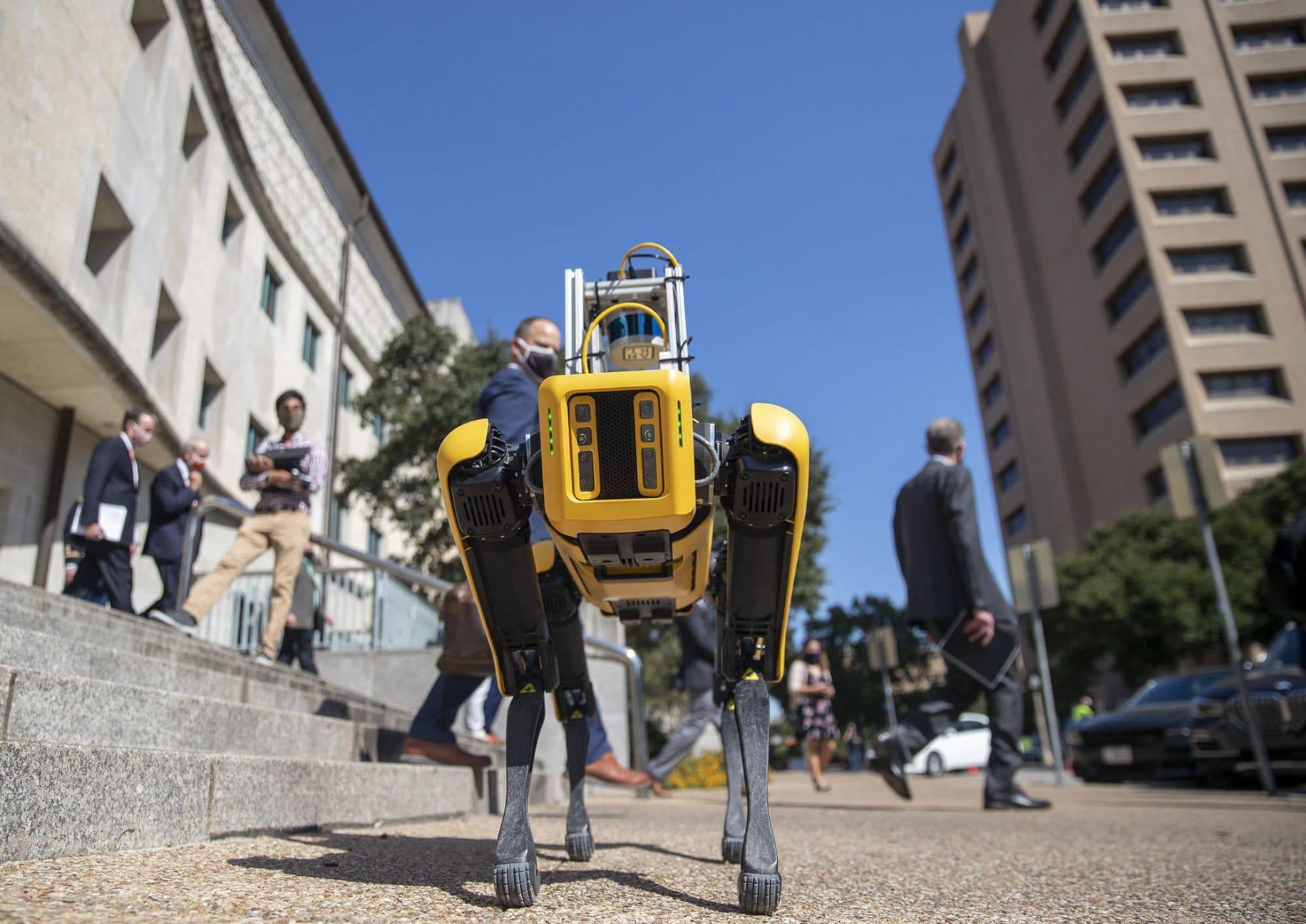 VIDEO: NYPD deploy robot police dog in the Bronx | American Military News