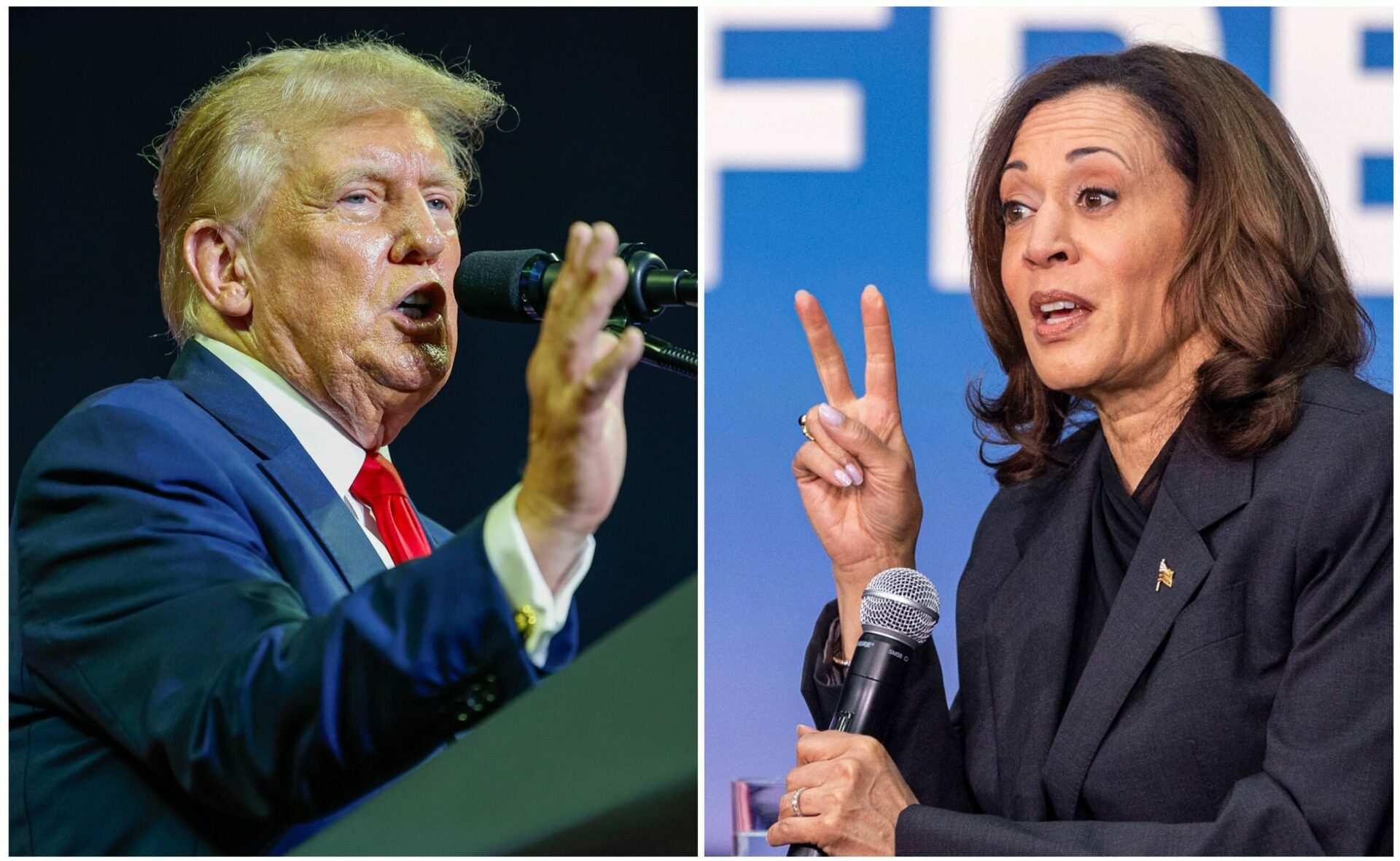 Holocaust survivor slams Harris for comparing Trump to Hitler