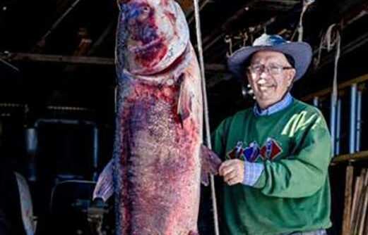 Pic: 20-minute fight with fish yields world record in Missouri. ‘You’ve got to be kidding’