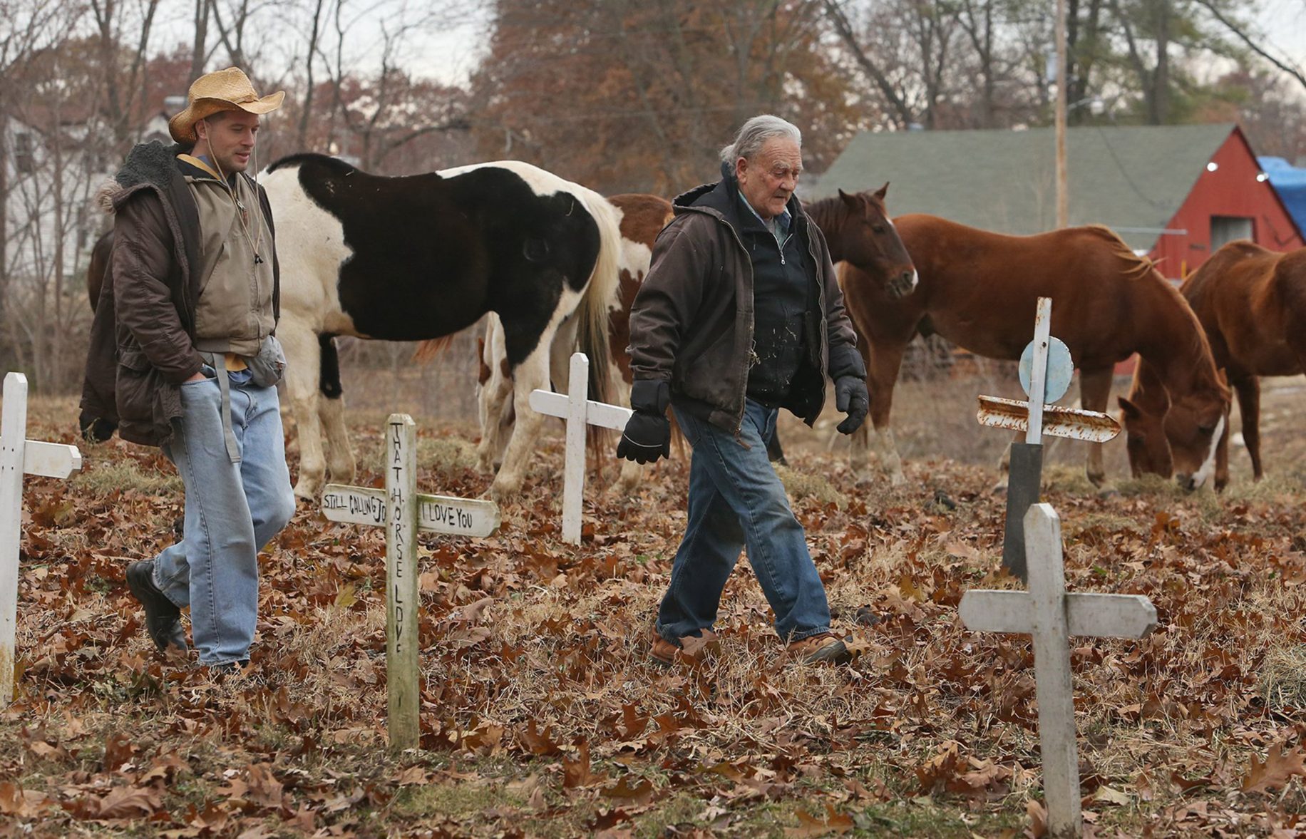 PHOTOS In life, these horses reenacted the Civil War. In death, they