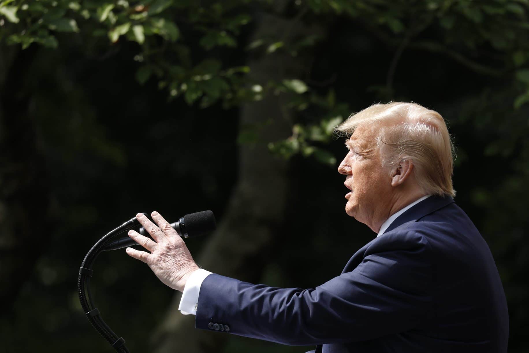 Trump vows to issue executive order protecting statues, says it would