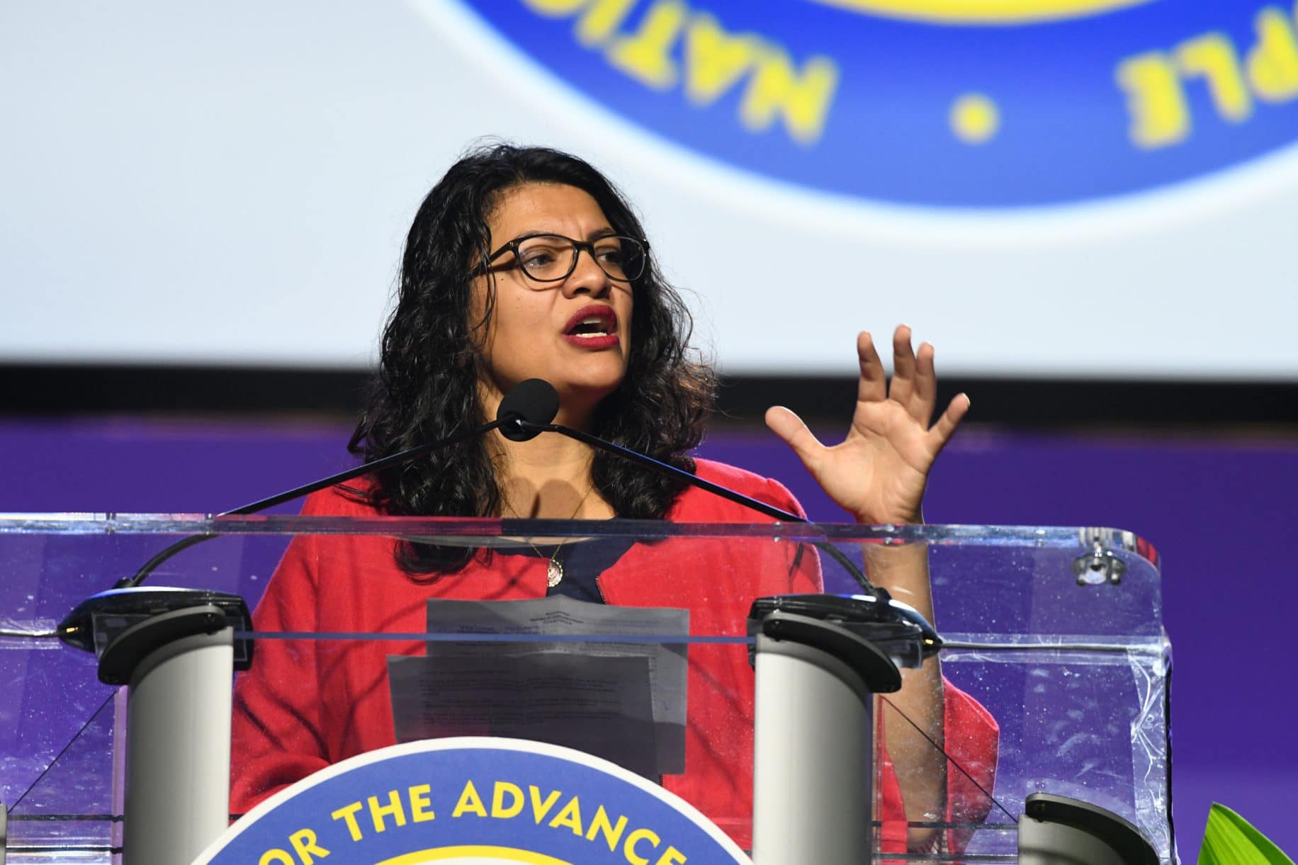 Rep. Tlaib 'cries' at pro-Palestinian protest, blames Israel