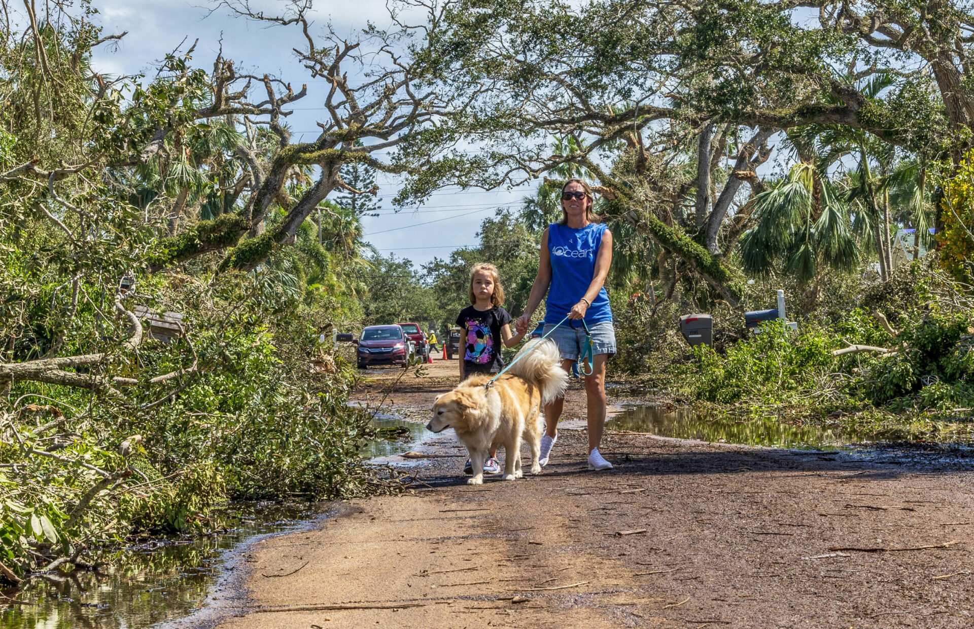 Florida therapy dog comes out of retirement to help Hurricane Milton recovery efforts