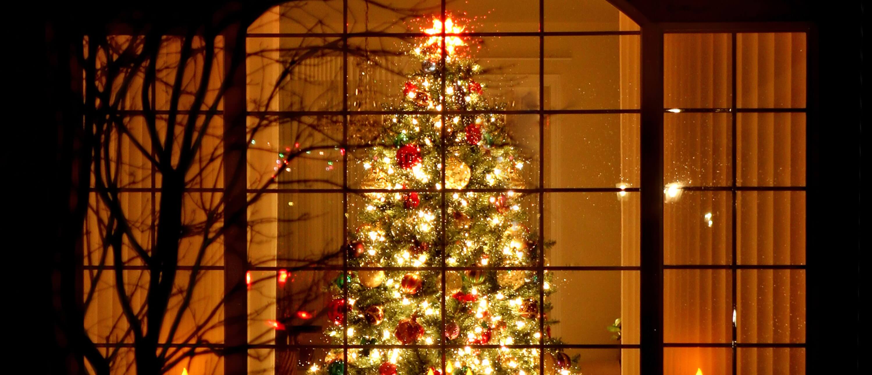 Are real or artificial Christmas trees better for the environment
