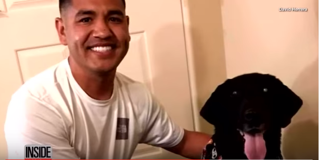 (VIDEO) Blind IED detection dog excitedly recognizes former Marine Corps handler – despite 6-year separation Featured