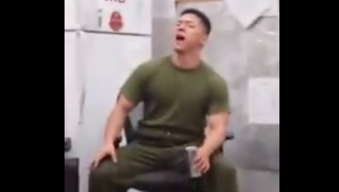 Watch Marines Sing Tribute Song: “Here Without Harambe” Featured