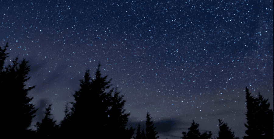 Look in the sky this month for the Perseid meteor shower