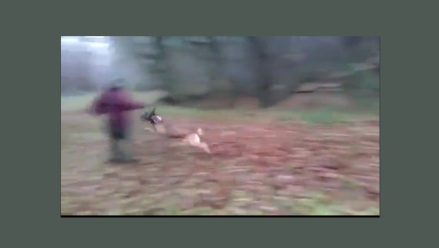 (VIDEO) Dog executes PERFECT tackle of man! Awesome! Featured