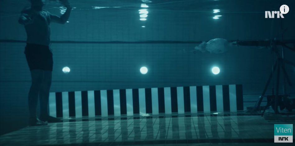 Watch What Happens When A Physicist Fires A Rifle At Himself Underwater From 3 Meters Away Featured