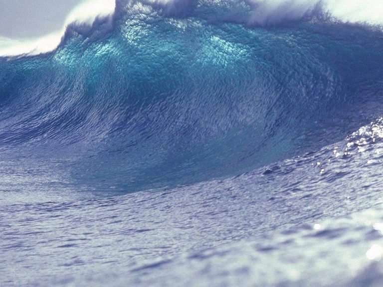 Tsunami Waves Hit Pacific Coastlines After Massive Earthquake In Russia’s Far East