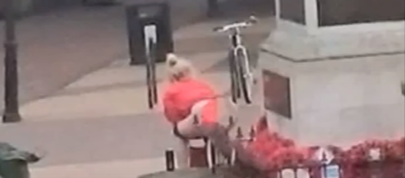 Woman That Repeatedly Urinated On War Memorial Finally Brought To Justice Featured